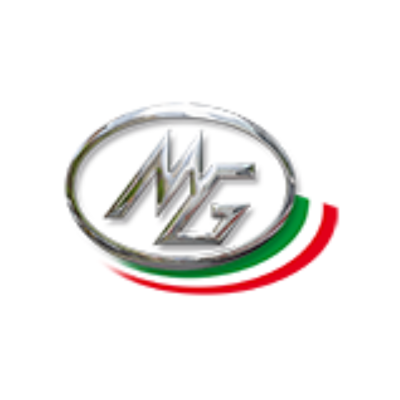 MG Srl